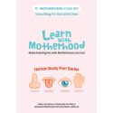 Motherhood Flash Card (Body Part) - Series 2