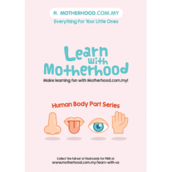 Motherhood Flash Card (Body Part) - Series 3