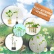 Grow a Plant_204108