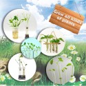 BIG BANG SCIENCE Kids Plant Growing Kit Best-seller Garden Planter Kit Plant Science Activity Toy for Kid 6+