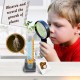 Grow a Plant_204110