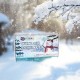 Winter Science_204119