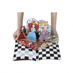 Cuddles Chuckles 3D Pop Up Chinese Fairy Tale Storybook Alice in The Wonderland