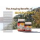 [BUY 1 FREE 1] NZ Health Naturally UMF 10+ 500g Manuka Honey (BEST BEFORE 23.02.2029) [HALAL] FOC 250g