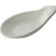 Piyo Piyo Anti-bacterial Spoon