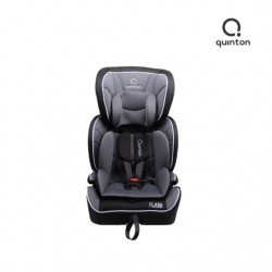 Quinton Flash Booster Car Seat (Grey)