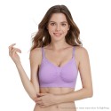 Shapee Classic Nursing Bra (Purple)