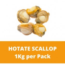 Hotate Scallop (1kg per Packet)