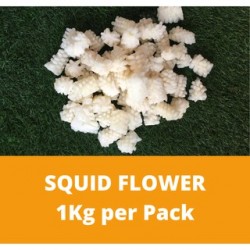 Squid flower (1kg Per Pack)