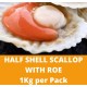 Half Shell Scallop with Roe 1kg per Pack (Sold per Pack)