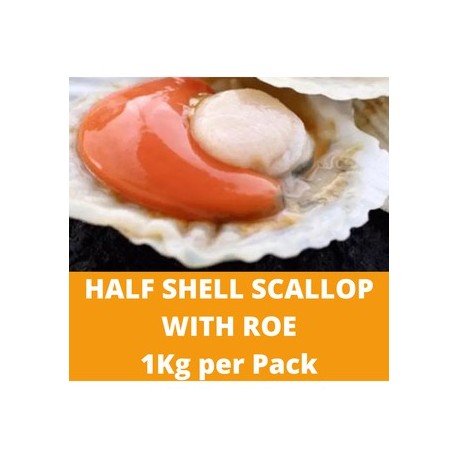 Half Shell Scallop with Roe 1kg per Pack (Sold per Pack)