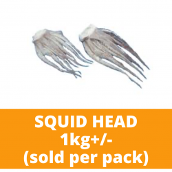 Sungtao Squid Head 1kg+/- (Sold per Pack)