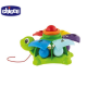 Chicco Turtle Sort  and  Surprise