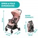 Chicco Cheerio Stroller - Black/ Pink