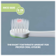 Chicco Toothbrush - 6M