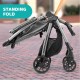 Chicco Mini Bravo Plus Travel System(stroller+car seat) 