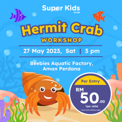 Super Kids Hermit Crab Workshop