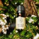 The Olive Tree Rosehip Seed Virgin Oil