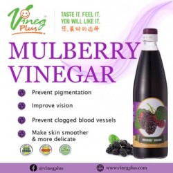 Mulberry Vinegar VinegPlus Taiwan No.1 Vinegar