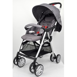 Evenflo Baby Stroller (EV 4830H-L323GG)