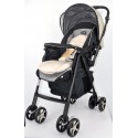 Evenflo Baby Stroller (EV 869U-W6LM)