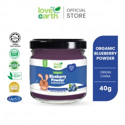 Organic Blueberry Powder 40g